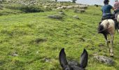 Trail Horseback riding Accous - Lhers - Puenta de Santa Ana - Photo 19