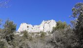 Trail Walking Cheval-Blanc - gorge regalon Claudine Dan - Photo 20