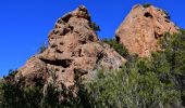 Tour Wandern Mandelieu-la-Napoule - Mandelieu - Chapelle St Jean - Baisse Violette - Suvières - Marsaou - Col des 3 Termes - Oeufs de Bouc - Photo 6