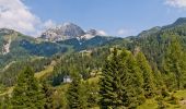 Tocht Te voet Pontebba - (SI A06) Passo Pramollo - Rifugio Gortani - Photo 4