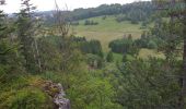 Trail Walking La Bosse - La Bosse - Photo 1