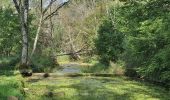 Tocht Stappen Montceau-et-Écharnant - Source de l'Ouche - Photo 3