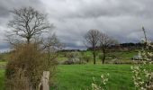 Trail Walking Hamoir - Hamoir  - Photo 1