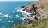 Tour Wandern Plogoff - pointe du Raz - Photo 11