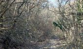 Tocht Stappen La Laupie - La Laupie : Sur les Chemins de Borne Rousse 6km5 - Photo 8