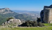 Tour Wandern Toulon - Le faron..solo - Photo 14