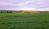 Trail Walking Marigny-en-Orxois - Marigny-en-Orxois du 07-04-2024 - Photo 2