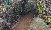 Trail Walking La Trinité - La caravelle - Photo 1