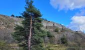 Tour Wandern Saint-Vallier-de-Thiey - reco St Valliers de Thiey colle du maçon  - Photo 8