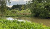 Tocht Stappen Florennes - Hanzinelle - Hanzinne - Fromée - Biesme - Wagnée - Photo 7