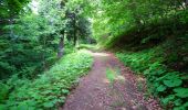 Randonnée Marche Albepierre-Bredons - Cantal - Albepierre - les Cascades - 9.6km 330m 3h25 - 2019 06 23 - Photo 3