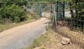 Tour Wandern Vidauban - z cascade de l'Aille - Photo 3