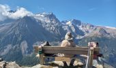 Tour Wandern Villar-d'Arêne - L'Aiguillon et Lac du Pontet 28.8.22  - Photo 9