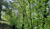 Tour Wandern Bouillon - sabots de Godefroid  - Photo 10