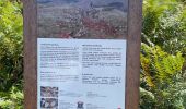 Tour Wandern Saint-Martin-d'Arrossa - Chemin des mineurs  - Photo 7