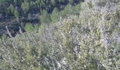 Randonnée Marche Peipin - CORBIERRES . LE TROU DU LOUP o s - Photo 4