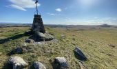 Trail Walking Saint-Urcize - St Urcize Carbonade Goutal Recoules  - Photo 4