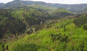 Tour Wandern Oberhaslach - Oberhaslach - Photo 5