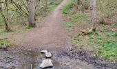 Trail Walking Ciney - Chapois 150425 - Photo 8