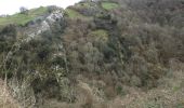 Trail On foot Cabrales - Inguanzo - Poo - Photo 9