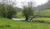 Tocht Noords wandelen Doische - Adeps Gochenée  - Photo 8