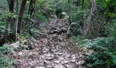 Trail On foot Nago-Torbole - IT-O637 - Photo 3