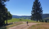 Trail Walking Sainte-Marie-aux-Mines - Col des Bagenelles et les deux Brézouard - Photo 2