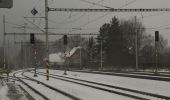 Percorso A piedi Mladkov - Naučná stezka Betonová hranice - Photo 3