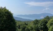 Tour Wandern Miazzina - 18.06.2023 - Miazzina - Le Lac Majeur et ses alpages - Photo 11