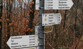 Trail On foot Lautenbach - Kappelrodecker Hexensteig - Photo 6