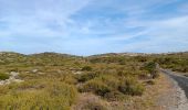 Tour Wandern Opoul-Périllos - cauna roja . perillos . château d´opoul  - Photo 7