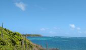 Trail Walking Sainte-Anne - Pointe Coton - Photo 3