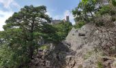 Tour Wandern Rappoltsweiler - Les 3 châteaux de Ribeauvillé - Photo 3