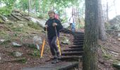 Trail Walking Fontainebleau - barbizon 3 août 2021  - Photo 2