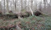 Trail Walking L'Isle-Adam - Oise port clinique Forget - Photo 1