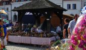 Tour Zu Fuß Kazimierz Dolny - Szlak zielony - Photo 5