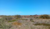 Tocht Stappen Sainte-Marie-la-Mer - sainte marie la mer - village et plage  - Photo 3