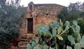 Trail Walking Calvi - Citadelle Calvi - Village - Notre dame de la Serra - Photo 3