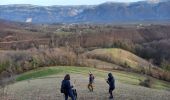 Excursión Senderismo Varacieux - Le Molard d'Essemat- Varacieux - Photo 7