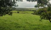 Tour Wandern West Cork - Hungry Hill - Photo 1