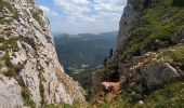 Tour Wandern Saint-Agnan-en-Vercors - Rocher de la Peyrouse - Photo 4