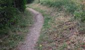 Trail Walking Charquemont - LES ECHELLES DE LA MORT - Photo 7