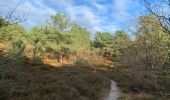 Percorso Marcia Bergen (NH) - Groet - schoorlse duinen - Photo 5