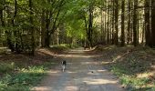 Tocht Stappen Libramont-Chevigny - Bras - Photo 2