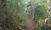 Excursión Senderismo Laval-d'Aix - Promenade du Glandasse depuis le gîte Reychasset - Photo 4