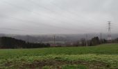 Excursión Senderismo La Roche-en-Ardenne - Balade des panoramas à La Roche-en-Ardenne  - Photo 6