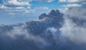 Tour Wandern Saou - Forêt de Saoù - Saint-Médard - Photo 1