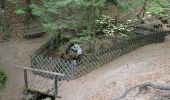 Percorso A piedi Alzenau - Schwarzer Keiler, Rundwanderweg Alzenau - Wanderparkplatz Mühlmark - Photo 4