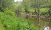 Excursión Senderismo Torigny-les-Villes - Boucle depuis le Val de Vire - Photo 3