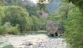 Randonnée Marche Le Broc - Pont de l'Estéron, Chapelle Sainte Marguerite, bord de l'Estéron - Photo 13